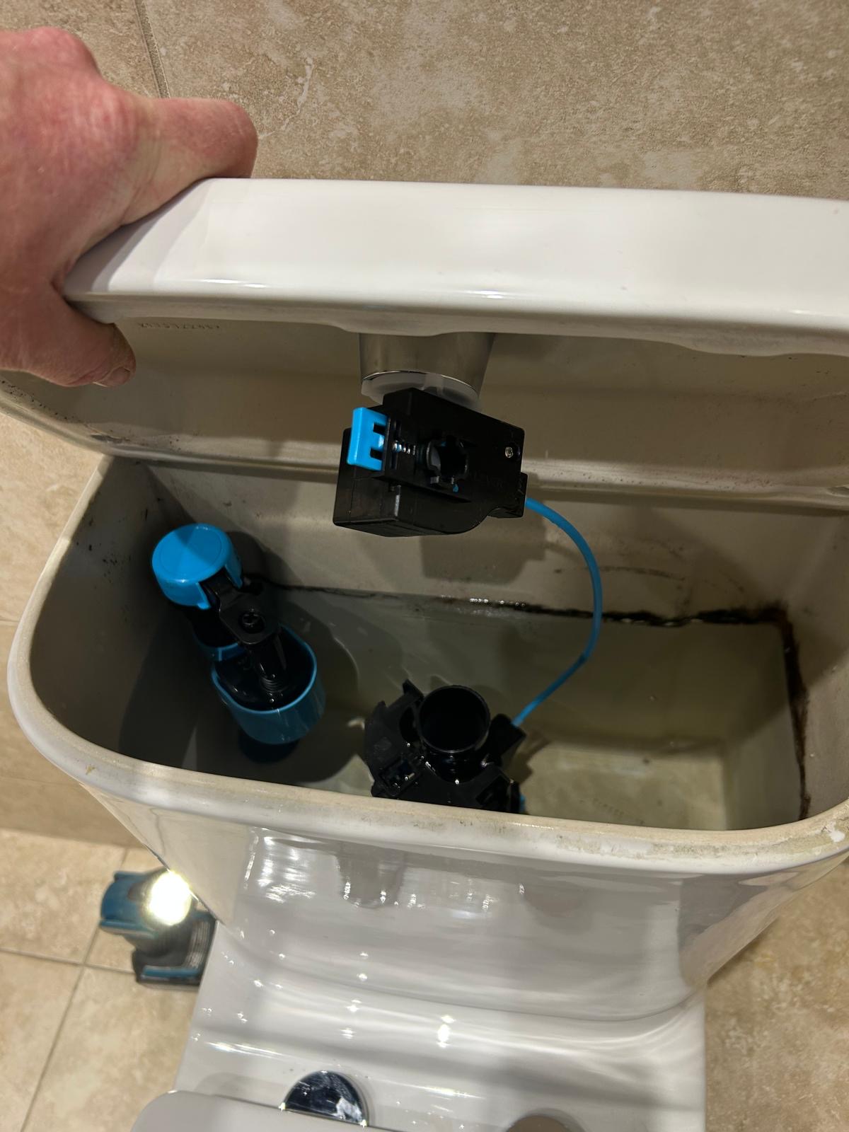 WC Flush Upgrade
